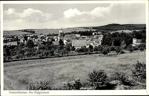 Ak Immenhausen in Nordhessen, Gesamtansicht