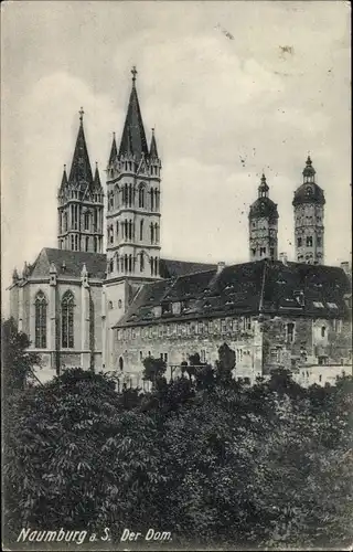 Ak Naumburg an der Saale, Dom