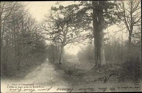 Ak Châteauneuf Eure et Loir, Foret, L'Allee du Jaglu prise du Rond Point