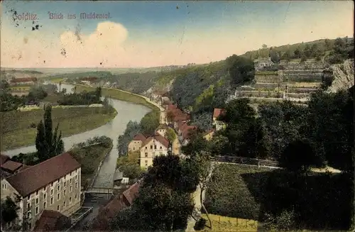 Ak Colditz in Sachsen, Blick ins Muldental