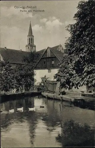 Ak Coswig in Anhalt, Partie am Mühlteich