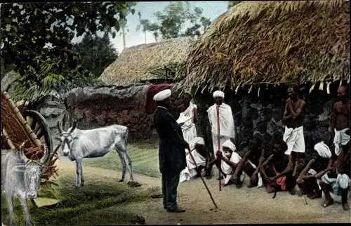 Ak Indien, Straßenpredigt in Tamulenland, Kühe