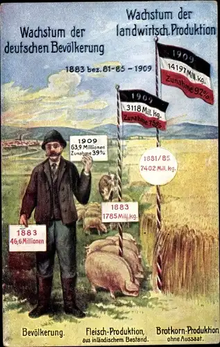 Ak Wachstum der deutschen Bevölkerung, Landwirtschaftliche Produktion 1883-1909, Schweine