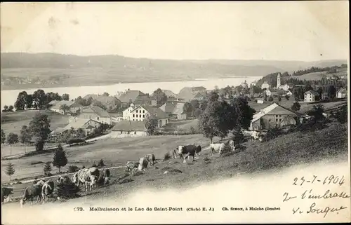 Ak Malbuisson Doubs, Le Lac de Saint Point, Vue générale