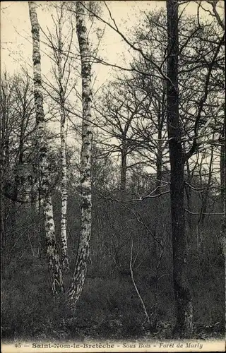 Ak Saint Nom la Bretèche Yvelines, Sous Bois, Foret de Marly