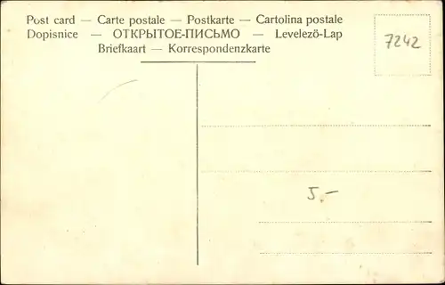 Luna Ak Colditz in Sachsen, Totalansicht der Ortschaft