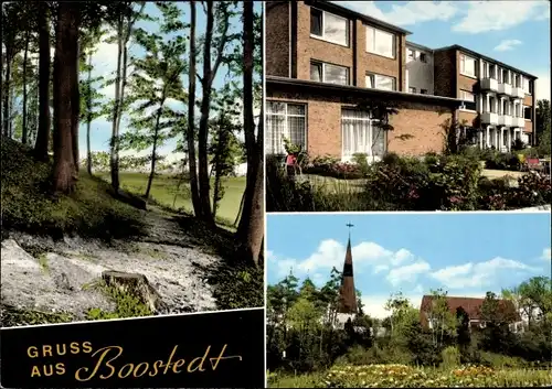 Ak Boostedt in Holstein, Waldpartie, Wohnhaus, Teilansicht der Kirche