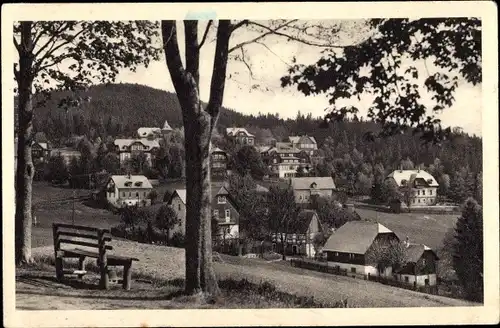 Ak Bärenfels Altenberg im Erzgebirge, Blick auf den Ort