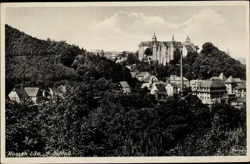 Ak Nossen in Sachsen, Schloss