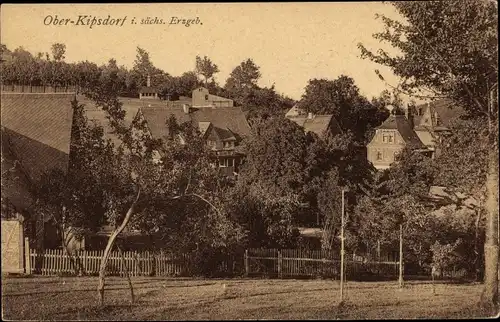 Ak Kipsdorf Altenberg im Erzgebirge, Teilansicht