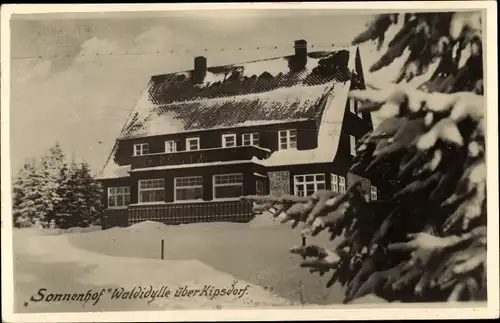 Ak Kipsdorf Altenberg im Erzgebirge, Sonnenhof, Waldidylle, Winter