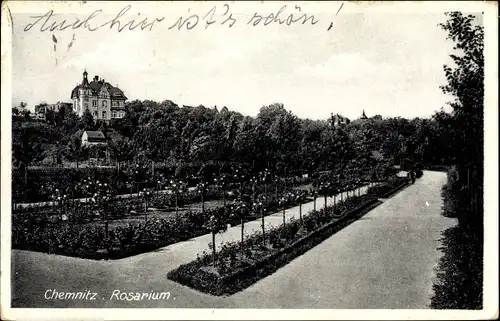 Ak Chemnitz in Sachsen, Blick auf Rosarium