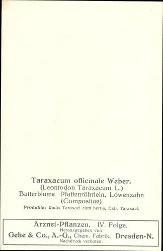 Ak Löwenzahn, Butterblume, Pfaffenröhrlein, Taraxacum offinicale Weber