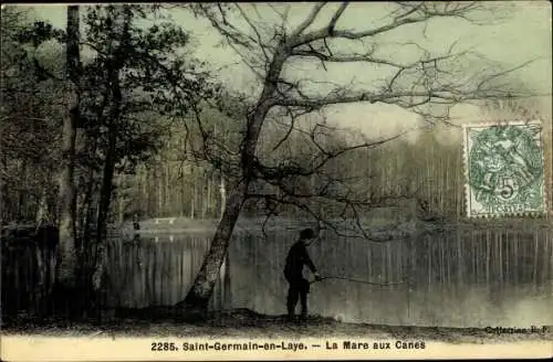 Ak Saint Germain en Laye Yvelines, La Mare aux Canes