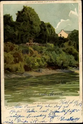Künstler Ak Biese, C., Düsternbrook Kiel in Schleswig Holstein, Teilansicht