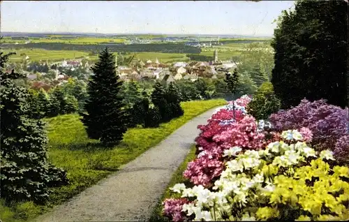 Ak Kamenz Sachsen, Blick vom Hutberg aus, Azaleen Anlagen