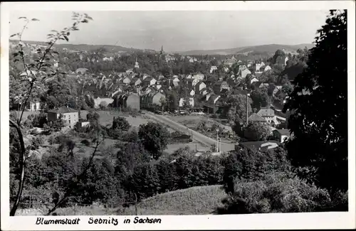 Ak Sebnitz Sachsen, Blick auf den Ort