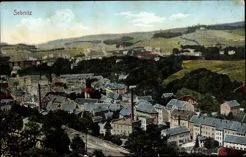 Ak Sebnitz Sachsen, Blick auf den Ort
