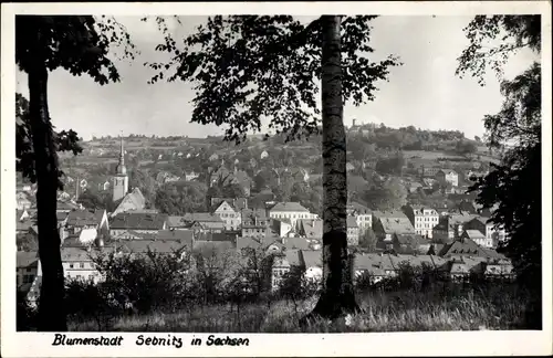 Ak Sebnitz Sachsen, Blick auf den Ort