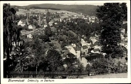 Ak Sebnitz in Sachsen, Blick auf den Ort