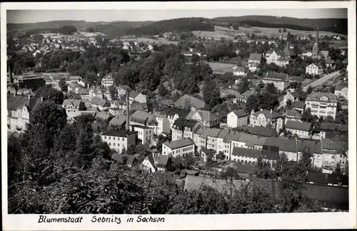 Ak Sebnitz in Sachsen, Blick auf den Ort