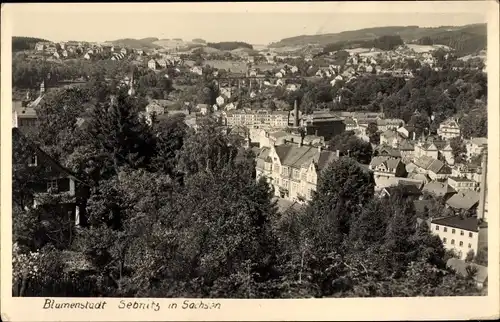 Ak Sebnitz in Sachsen, Blick auf den Ort