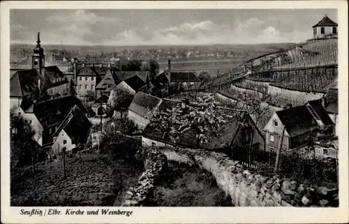 Ak Diesbar Seußlitz Nünchritz an der Elbe, Kirche und Weinberge