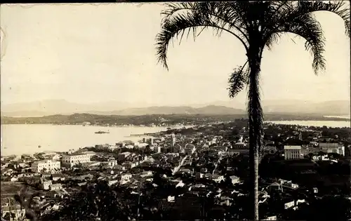 Foto Ak Curitiba Brasilien, Panorama, Palme