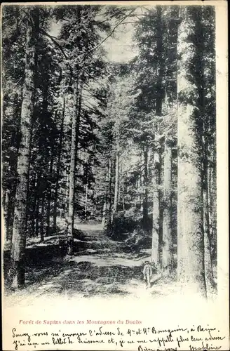 Ak Doubs, Foret de Sapins dans les Montagnes du Doubs