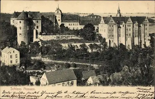 Ak Nossen in Sachsen, Schloss