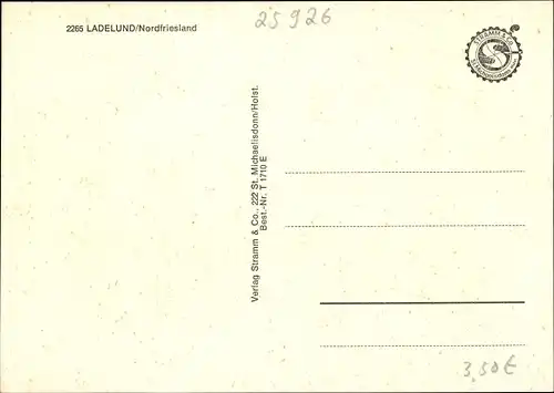 Ak Ladelund Nordfriesland, Ortsansichten