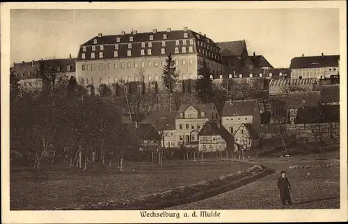 Ak Wechselburg in Sachsen, Teilansicht