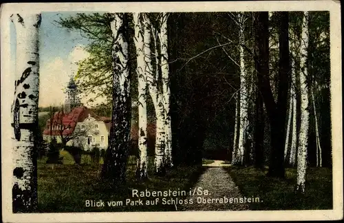 Ak Rabenstein Chemnitz in Sachsen, Schloss Oberrabenstein, Parkpartie