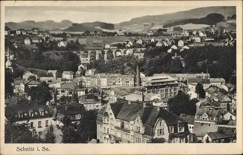 Ak Sebnitz in Sachsen, Panorama