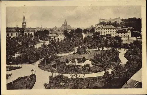 Ak Pirna an der Elbe, Friedenspark
