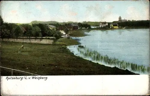 Ak Ratzeburg im Herzogtum Lauenburg, Uferpartie, Blick vom Weinberg