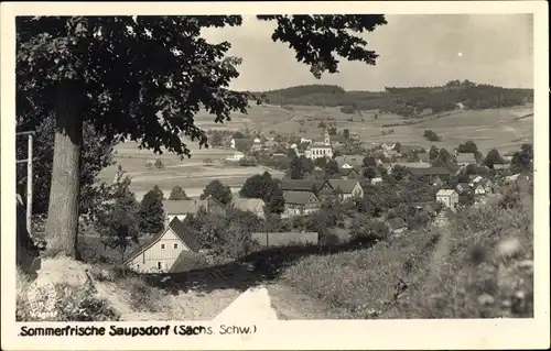 Ak Saupsdorf Sebnitz Sachsen, Blick auf den Ort