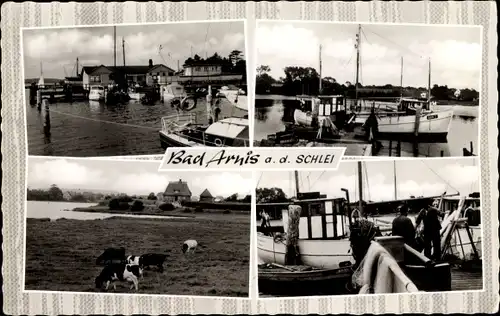 Ak Bad Arnis an der Schlei, Hafenpartien, Kuhweide