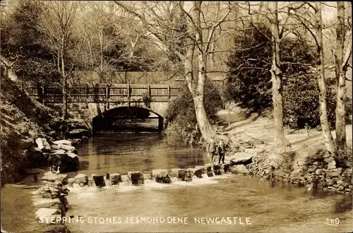 Ak Newcastle upon Tyne England, Jesmond Dene, Stepping Stones