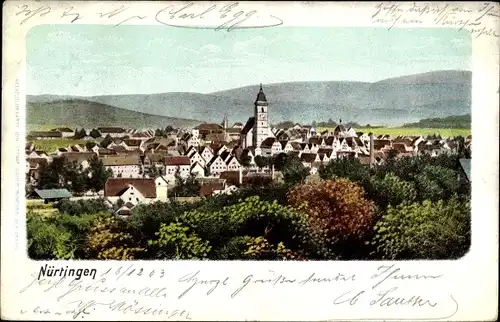 Litho Nürtingen am Neckar, Gesamtansicht