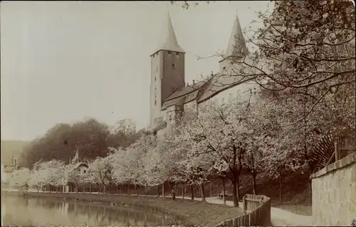 Foto Ak Rochlitz an der Mulde, Schloss, Muldepartie