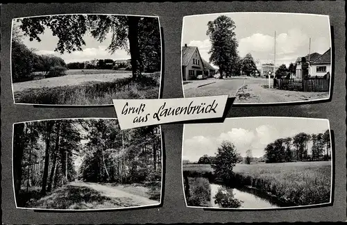Ak Lauenbrück in Niedersachsen, Straßenpartie, Landschaftsmotive