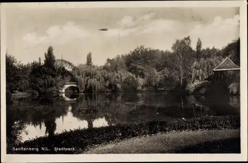 Ak Senftenberg Niederlausitz, Partie im Stadtpark