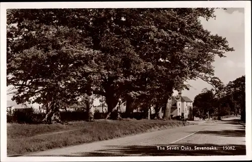 Ak Sevenoaks South East England, The Seven Oaks