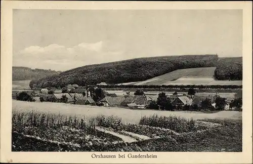 Ak Orxhausen Kreiensen, Panorama