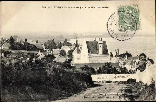 Ak La Pointe Maine et Loire, Vue d'ensemble