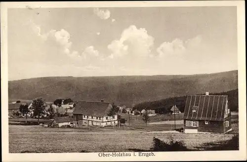 Ak Ober Holzhau Rechenberg Bienenmühle Erzgebirge, Teilansicht, Häuser