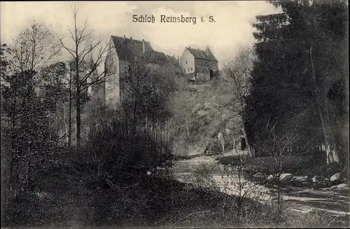 Ak Reinsberg in Sachsen, Blick auf das Schloss, Wald