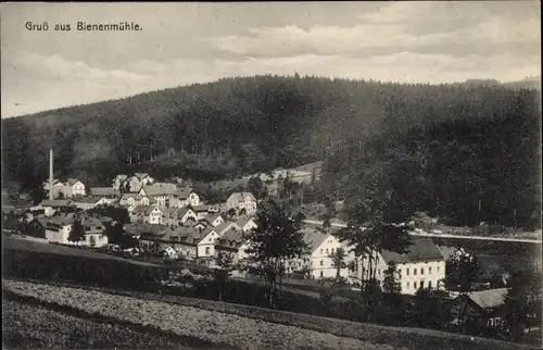 Ak Rechenberg Bienenmühle Erzgebirge, Gesamtansicht, Wald