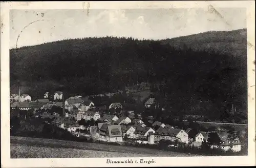 Ak Rechenberg Bienenmühle Erzgebirge, Gesamtansicht, Wald